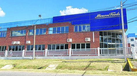 imagen de Minerva Foods aseguró a productores que no tiene  intención de instalar corrales propios en Uruguay