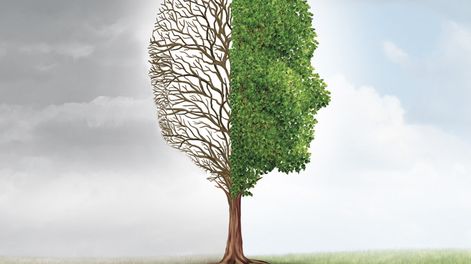 Búsqueda | 778488.jpg