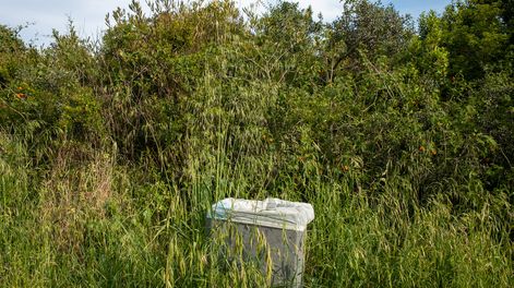 El análisis del gobierno sugiere enfocar la iniciativa en microáreas de Montevideo.