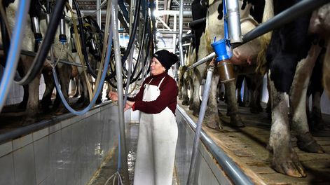 El sector lechero es uno de los que más precisa acceso continuo al crédito bancario
