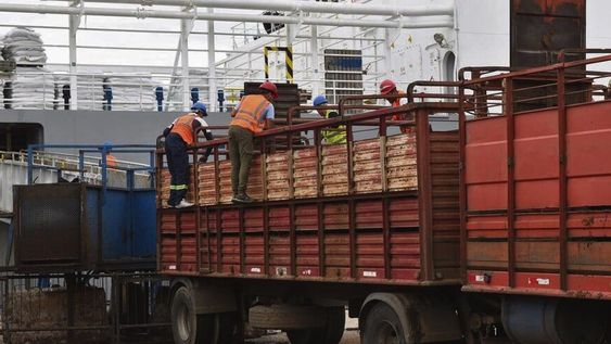 La demanda china se presenta más cauta que en años anteriores. Foto: Agro de Búsqueda La demanda china se presenta más cauta que en años anteriores. Foto: Agro de Búsqueda