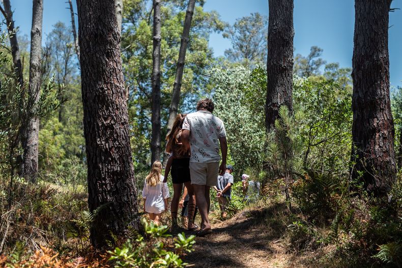 Sendero ecológico&nbsp;