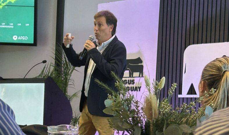 El consultor Diego Varalla, director de APEO, durante su participación en Angus Day