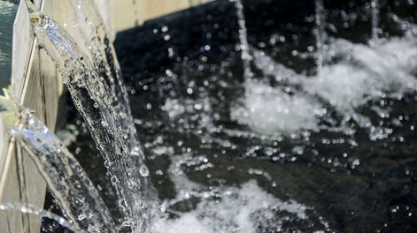 Foto: Mauricio Zina / adhocFOTOS