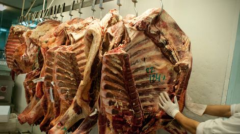imagen de Japón “sorprendió” con demanda de carne parecida a la de Europa