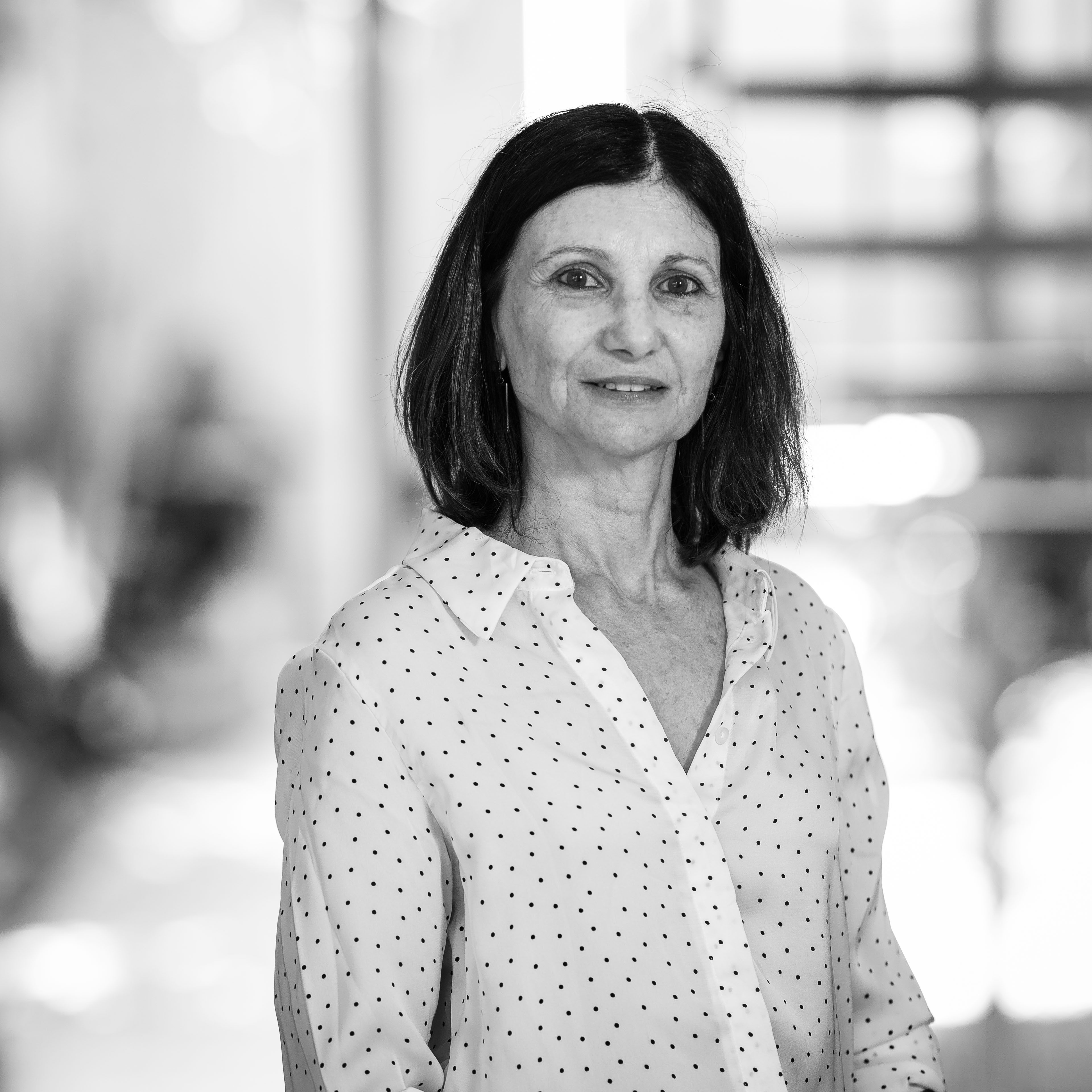 Búsqueda | Silvana Tanzi