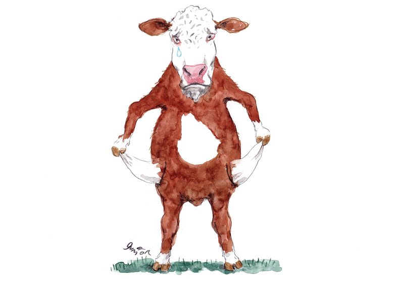 Junior Conexion Ganadera