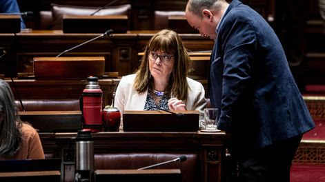 Los diputados Cecilia Cairo y Nicolás Viera, durante la interpelación a la ministra Karina Rando. Foto: Mauricio Zina / adhocFOTOS