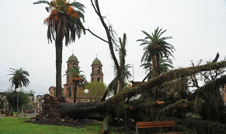 imagen de Millonario proyecto de información climática