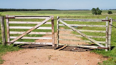 El gobierno tiene previsto revisar los impuestos que paga el agro, con el criterio de gravar la renta y no la tierra. Foto: Nicolás Der Agopián