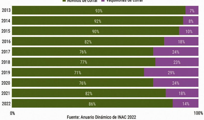 imagen de El 16% de la faena fue de ganados de corral