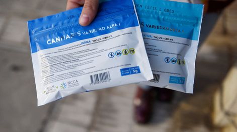 imagen de Gobierno consolida su “política de vanguardia” sobre el cannabis  y deja menos espacio para una reversión en esa estrategia