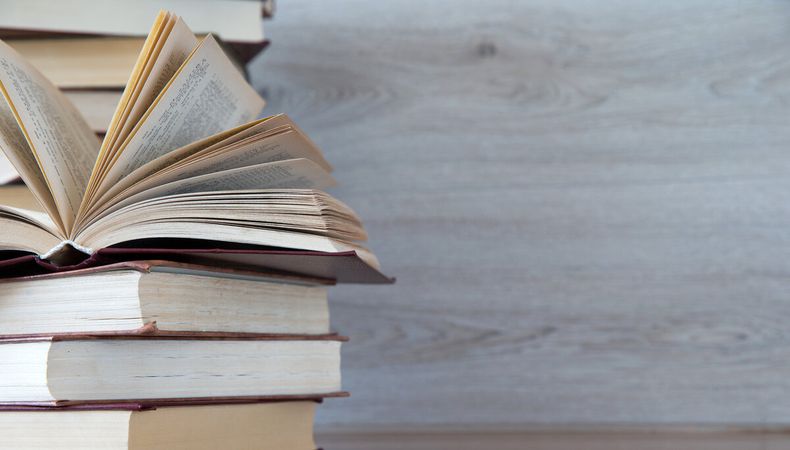 imagen de Los libros de junio