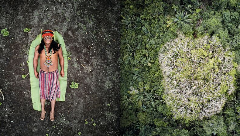 imagen de La vida y lucha indígena: retratos de la tierra olvidada