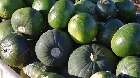 Fúster sostuvo que “tal vez algún subsidio se tiene que dar, pero no en forma directa” para apoyar al sector granjero