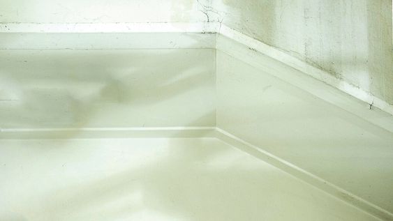 Foto: Adrián Echeverriaga Foto: Adrián Echeverriaga