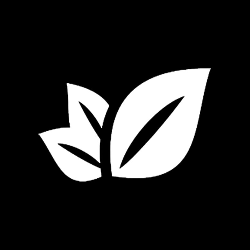 Búsqueda | Mauro Florentín