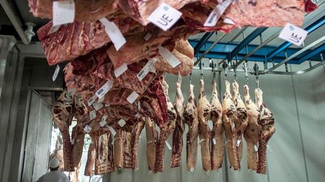 Foto: Pablo La Rosa, adhocFOTOS