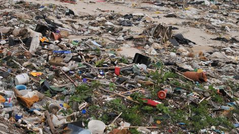 Búsqueda | La plataforma Ykarai busca transparentar el desempeño de las industrias en materia ambiental. Foto: Nicolás Der Agopián