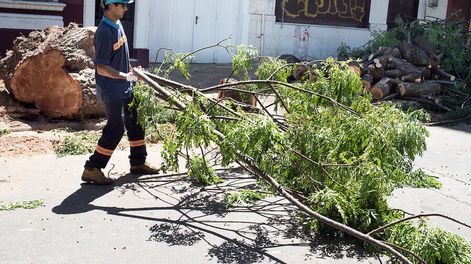Búsqueda | Foto: Ricardo Antúnez / adhocFOTOS