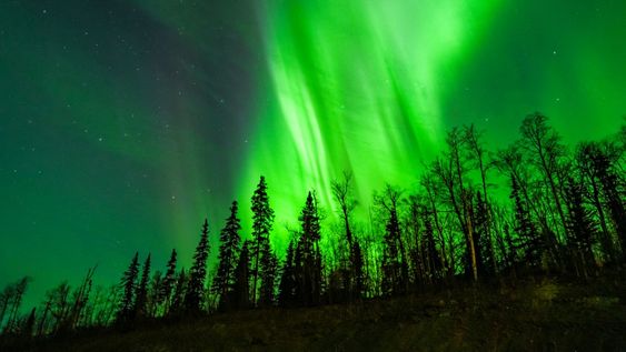 Auroras boreales en Alaska. Auroras boreales en Alaska.