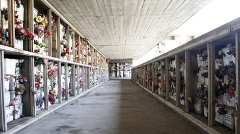 Búsqueda | 69519.jpg