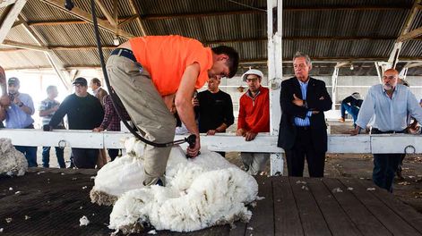 El ministro de Ganadería, Fernando Mattos, en el lanzamiento de la Zafra Ovina 2024, la semana pasada en Paysandú