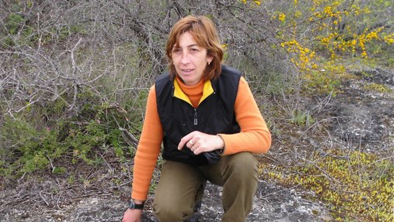 imagen de Renunció directora de Minería por choques con Cosse imagen de Renunció directora de Minería por choques con Cosse