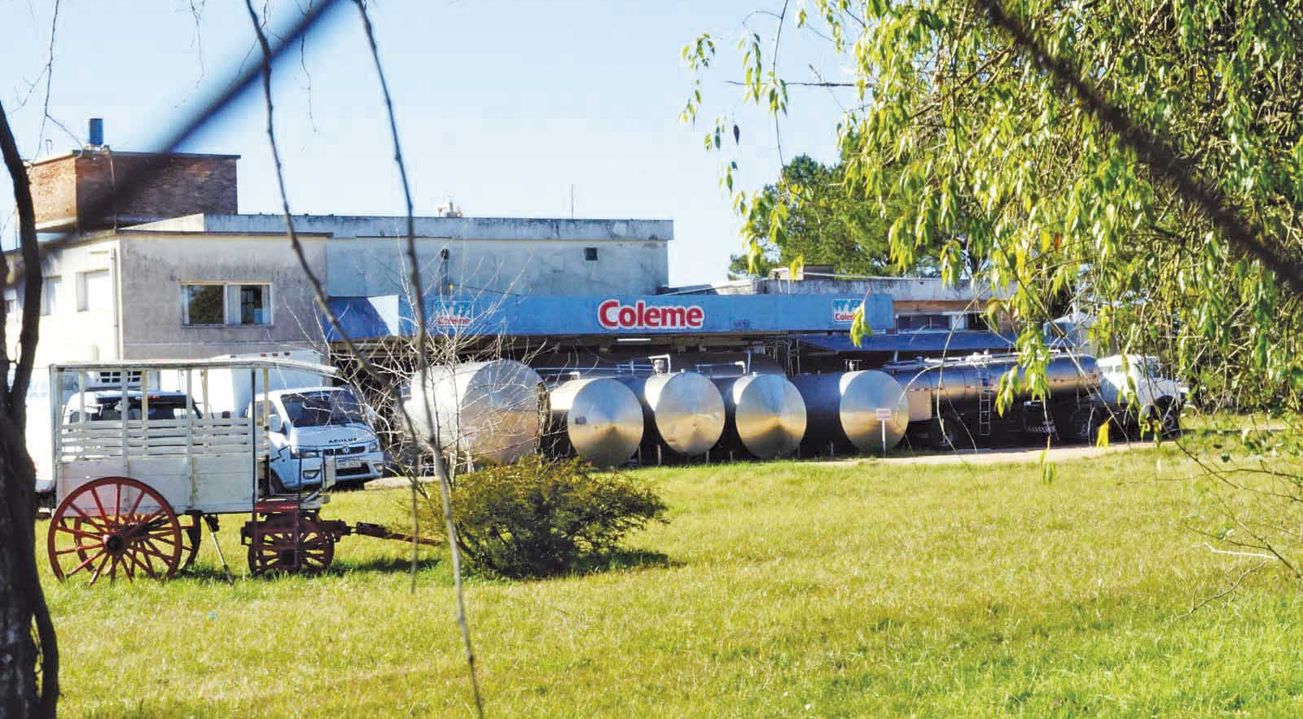 Cerca de 30 trabajadores integran la plantilla de Coleme.