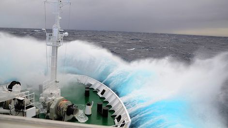 imagen de Comenzó negociación para cuidar biodiversidad en alta mar; Uruguay estudia proteger sus zonas marinas y la Antártida