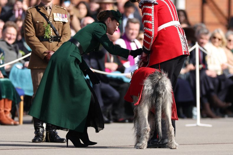 Con motivo del Día de San Patricio, Kate Middleton acompañó a la guardia irlandesa en el Cuartel de Mons, en Aldershot (Reino Unido), donde se retuvo durante varios segundos para acariciar al perro que forma parte del cuerpo.