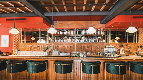 Búsqueda | Bulevard de las Palmeras