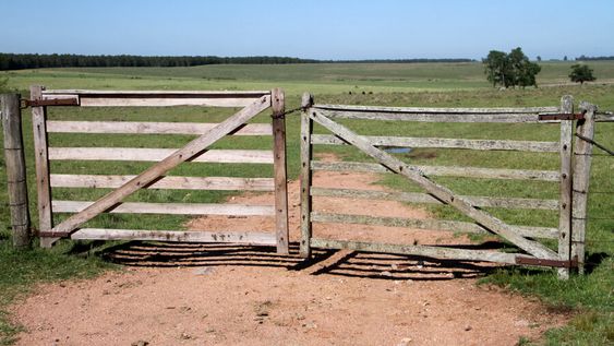 imagen de El Frente Amplio con la mira en la concentración “desmedida” de la tierra, el cambio climático y en conservar el ambiente imagen de El Frente Amplio con la mira en la concentración “desmedida” de la tierra, el cambio climático y en conservar el ambiente