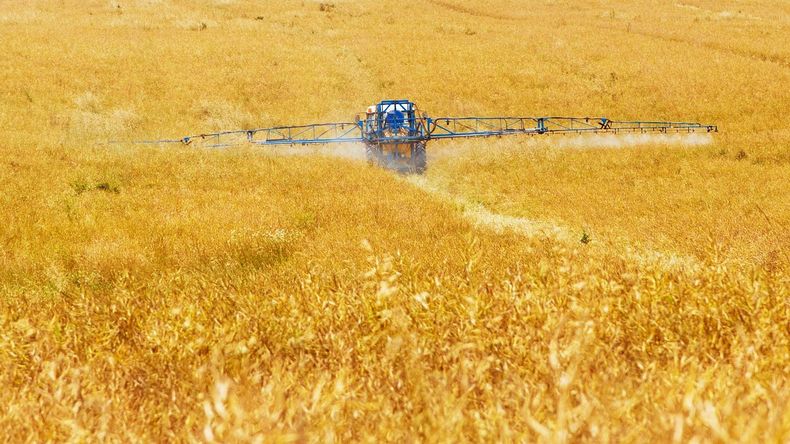 Estudio argentino advierte sobre la nocividad para las mujeres embarazadas de los pesticidas y su “efecto cóctel”