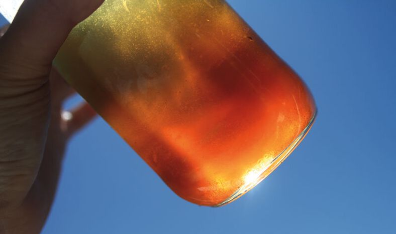 imagen de Un decreto establece la trazabilidad obligatoria para la miel