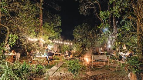 Búsqueda | Fotos: Mauricio Rodríguez