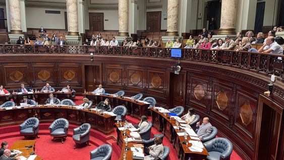 Cámara de Senadores durante la votación del proyecto de ley que da autonomía a la Defensa Pública. Cámara de Senadores durante la votación del proyecto de ley que da autonomía a la Defensa Pública.
