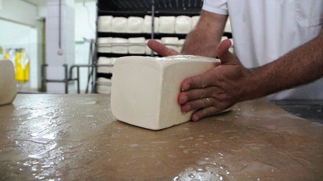 Las compras estatales pueden ser una herramienta de estímulo al productor familiar. Foto: Nicolás Der Argopián / Búsqueda