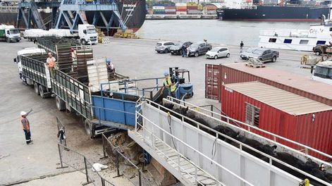 Las exportaciones de vacunos son una vía de comercialización valoradas por los productores ganaderos