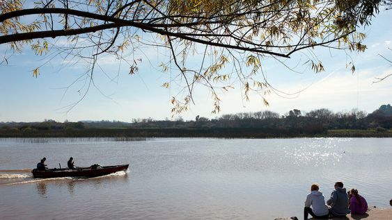 imagen de La Justicia embarga cinco inmuebles en Carmelo vinculados a financista argentino imagen de La Justicia embarga cinco inmuebles en Carmelo vinculados a financista argentino