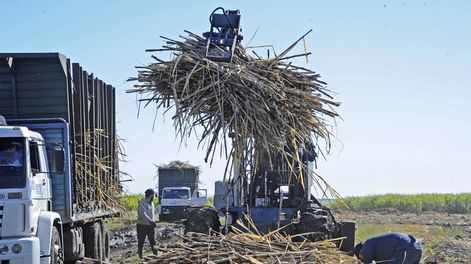 La cadena agroindustrial cañera genera unos 2.600 empleos en el norte. Foto: Presidencia