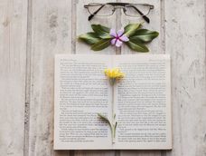 5 libros que exploran las relaciones, la sexualidad y la soledad 5 libros que exploran las relaciones, la sexualidad y la soledad