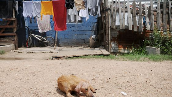 Viviendas en asentamiento del barrio La Chacarita, en el noreste de Montevideo.&nbsp;