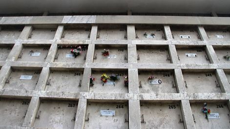 imagen de IMM indaga irregularidades en cementerios de la capital