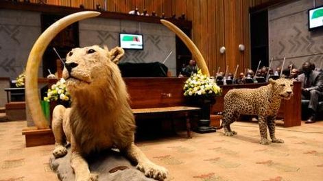 imagen de Un viaje de 12 parlamentarios a Zambia generó críticas de colegas