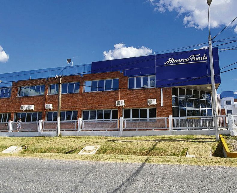 Minerva pasaría a tener siete plantas. Foto: Agro de Búsqueda