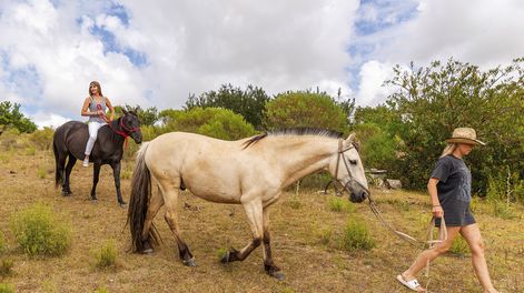 Búsqueda | 818367.jpg
