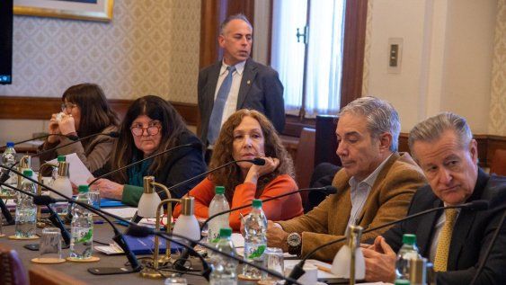 La Comisión de DDHH y Equidad de Género, presidida por la senadora Constanza Moreira, trató el proyecto de ley “Divulgación de contenidos sexuales elaborados con inteligencia artificial”.