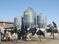 El ingreso preferencial de productos europeos podría desarrollar mayor competencia en Brasil, advierte el Inale.