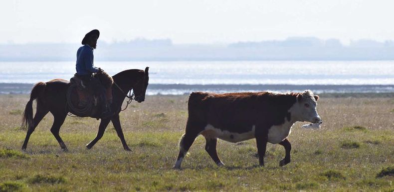 La política de tierras vuelve a poner al Estado en un rol activo en el mercado de campos y provoca reacciones contrarias